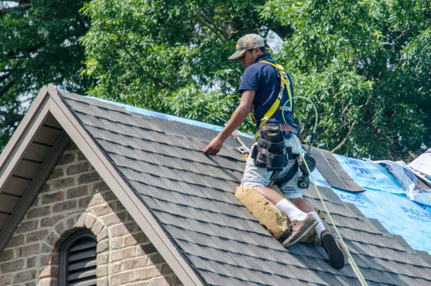 Best Roof Maintenance Services  in Versailles, OH